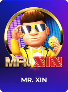 Mr X I N