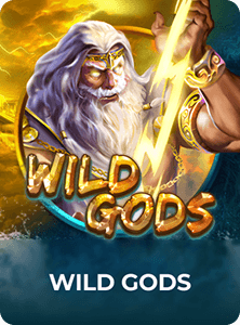 Wild Gods