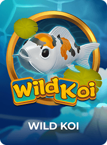 Wild Koi