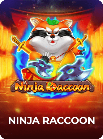 Ninja Raccoon
