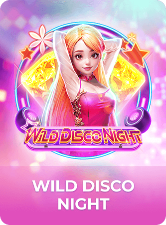 Wild Disco Night