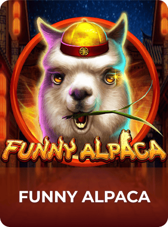 Funny Alpaca