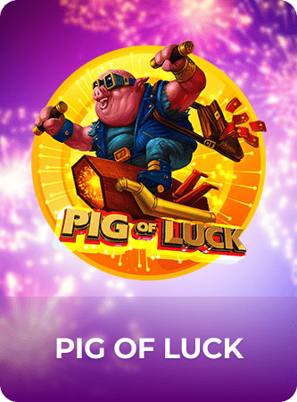 Pig Of Luck
