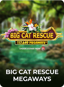 Big Cat Rescue Megaways