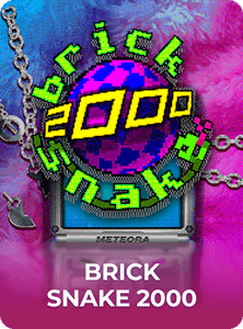 Brick Snake 2000