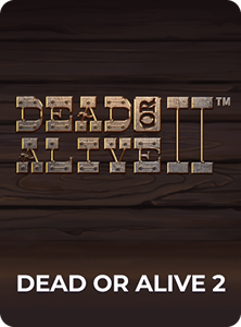 Dead or Alive 2