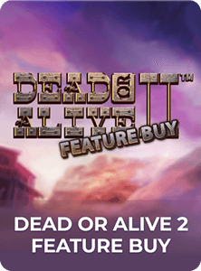 Dead or Alive 2 Feature Buy