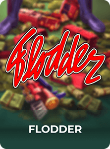 Flodder