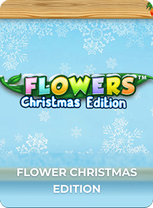 Flowers Christmas Edition