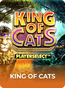 King of Cats