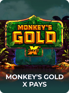 Monkey's Gold x Pays