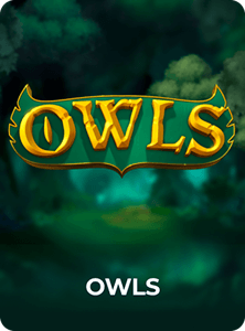 Owls