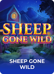 Sheep Gone Wild
