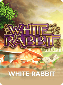 White Rabbit