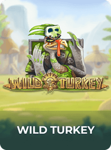 Wild Turkey