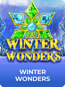 Winter Wonders