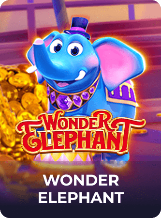 Wonder Elephant